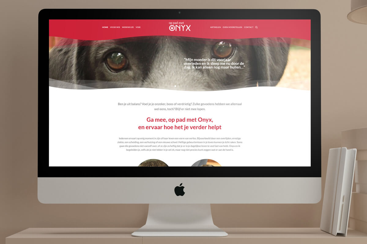 website Op pad met Onyx